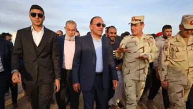 تصدير الأرز