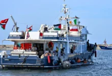 الصمود المصري