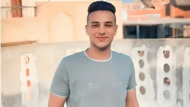 نيابة المنصورة