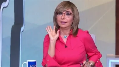 لميس الحديدي