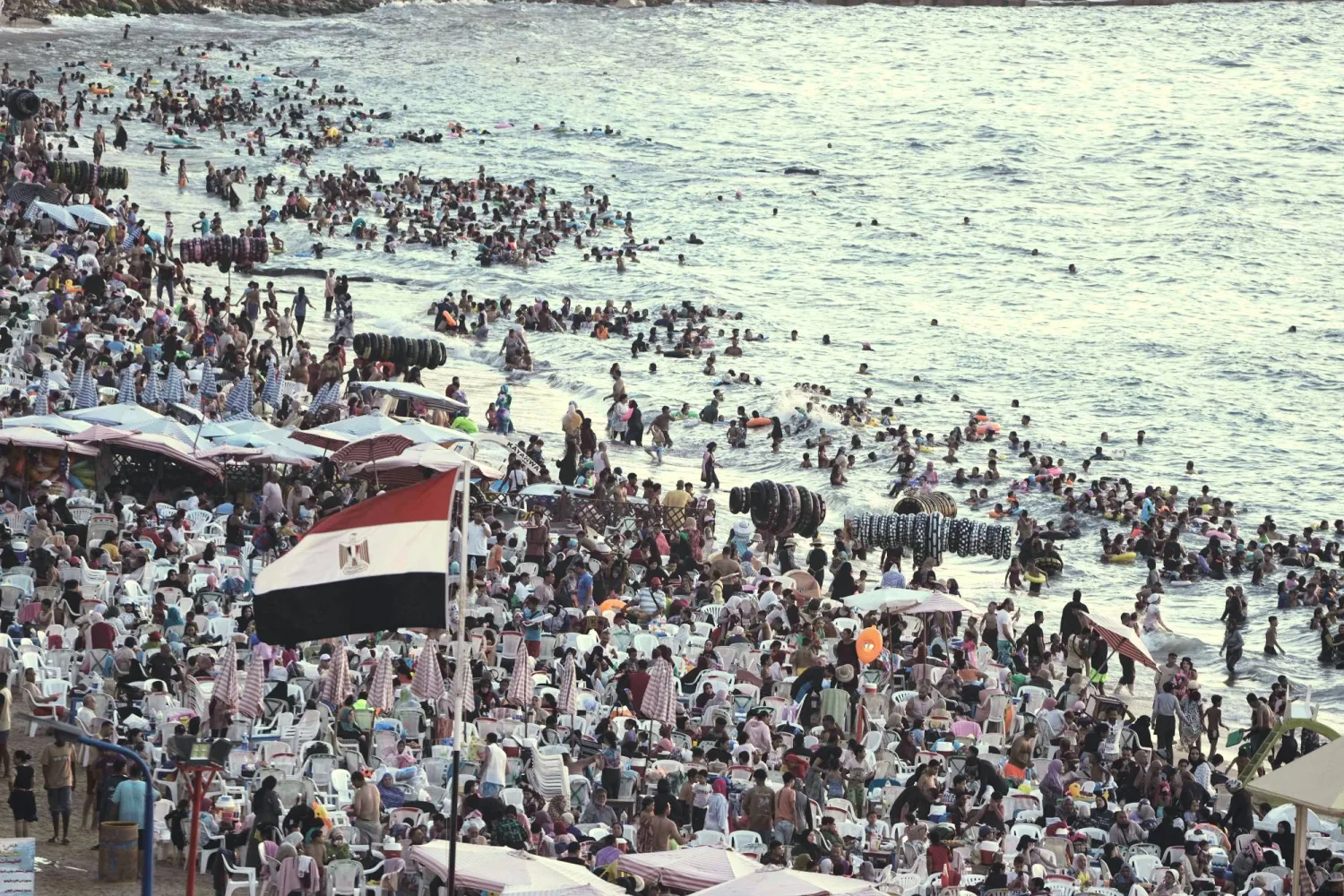 مطروح