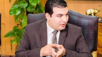وحدة محلية