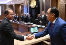 المالية