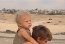 العرجاني