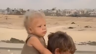 العرجاني