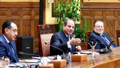 الاستثمار