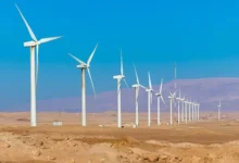 جبل الزيت