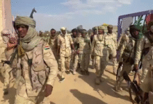 الفاشر