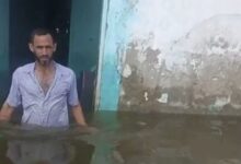 كفر الشيخ