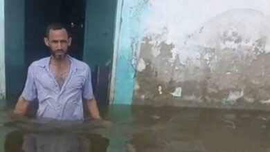 كفر الشيخ
