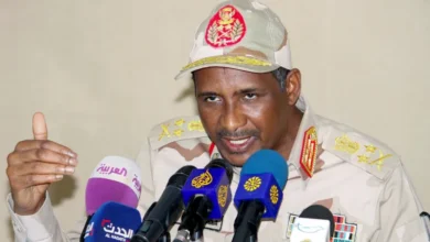 دولة مجاورة