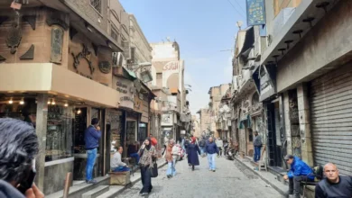 الشقق البديلة