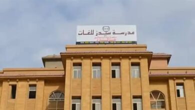 سيدز الدولية