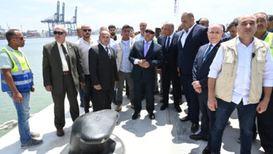 كامل الوزير