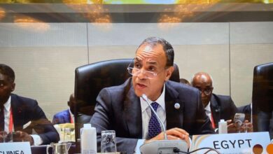 صبر استراتيجي