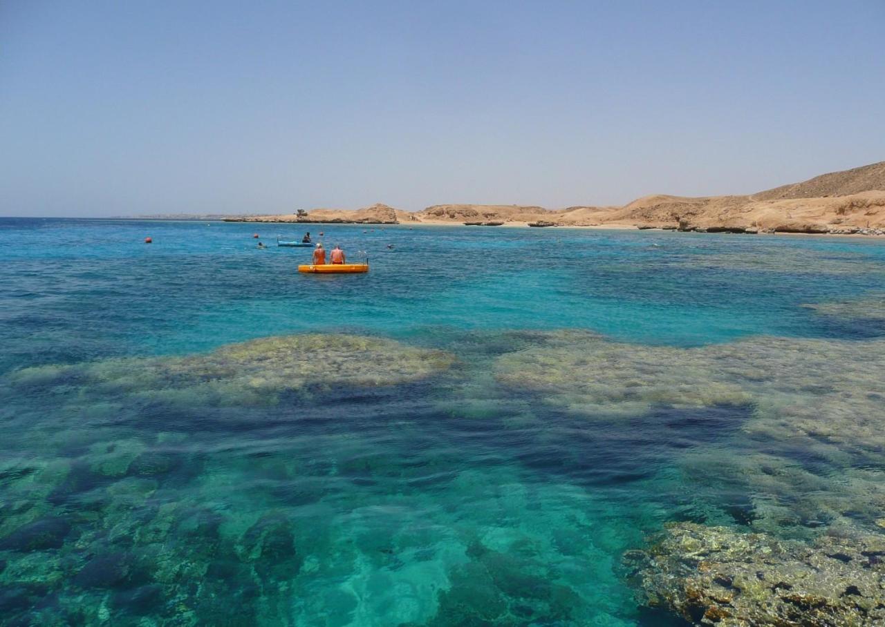تيران
