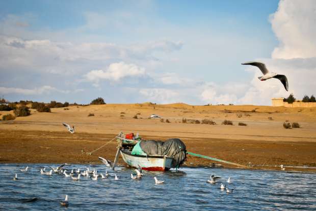 وزارة البيئة