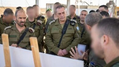 الحدود المصرية