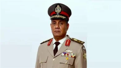 الفريق
