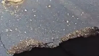الواحات