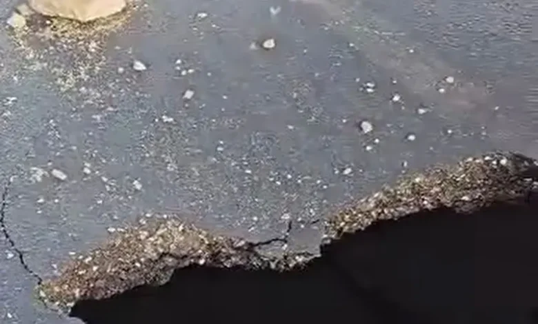 الواحات