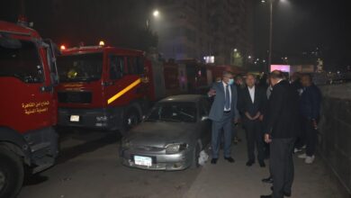 الزيتون