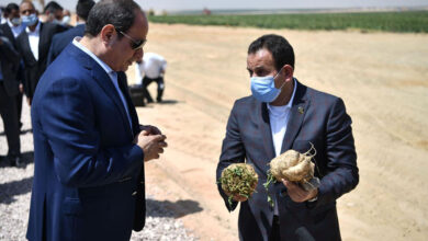 مشروع