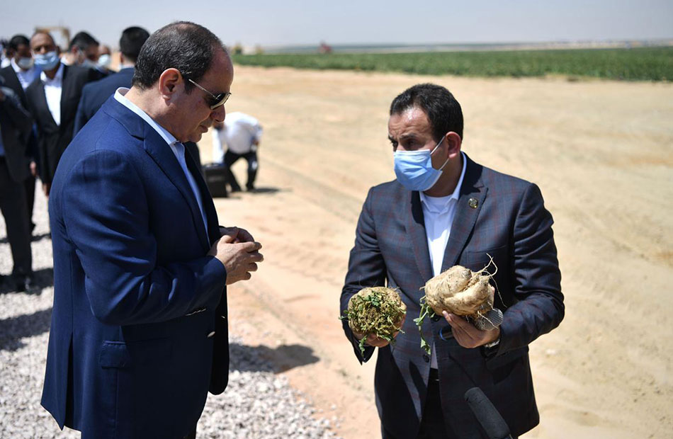 مشروع
