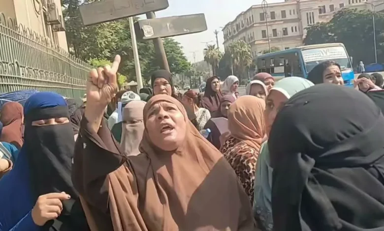 الزراعة