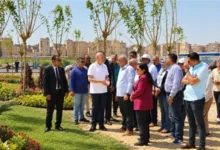 تشجير العاصمة