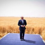 الاكتفاء الذاتي من القمح